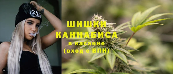 круглые Осинники