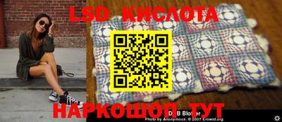 индика Бийск