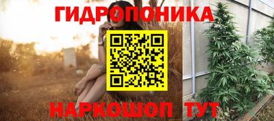 амф Заводоуковск