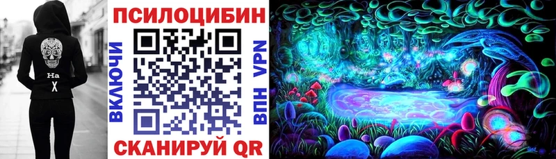Галлюциногенные грибы Psilocybine cubensis  Шахты 
