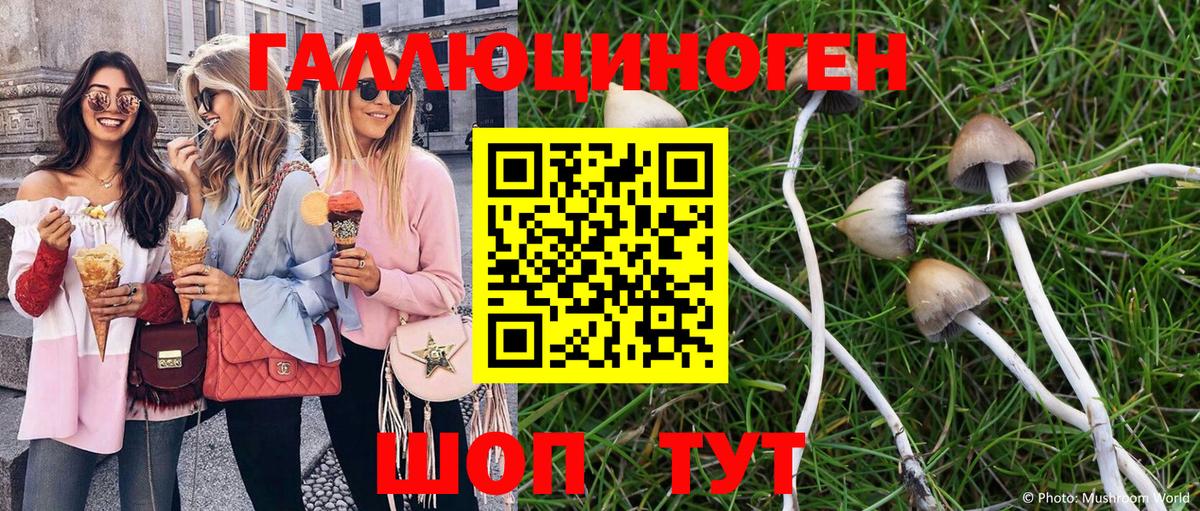 как найти   Галлюциногенные грибы Magic Shrooms  Шахты  Галлюциногенные грибы ЛСД 