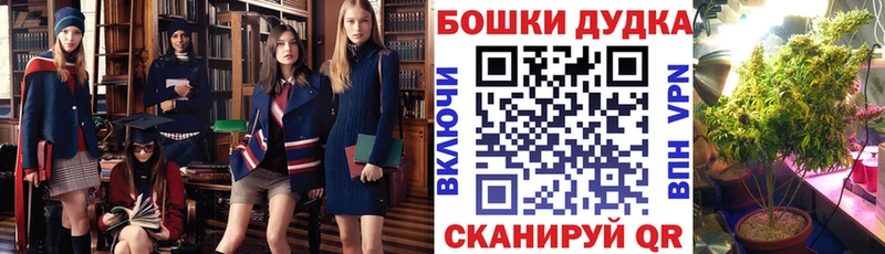 Канабис MAZAR  Шахты 